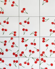 cherry-bus­so­ga‑3